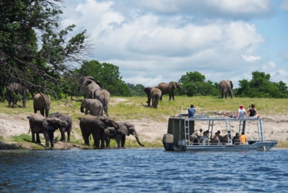 boat cruise next to elephants