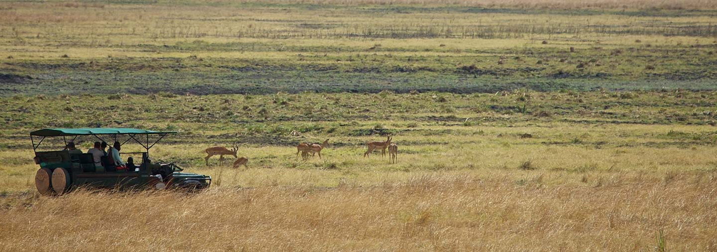 Tanzania safari