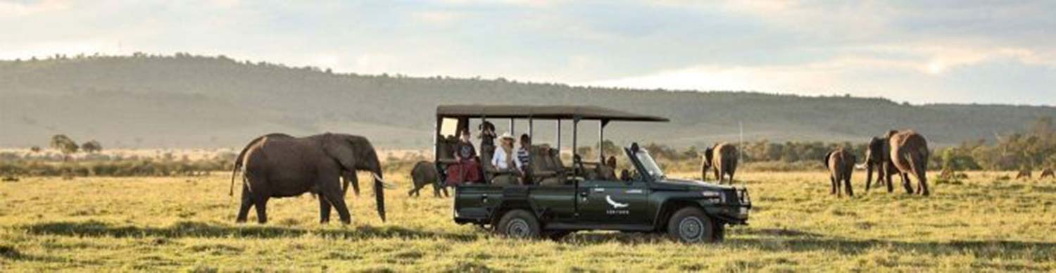 large elephant and small baby close to safari truck with mother, father and two young children