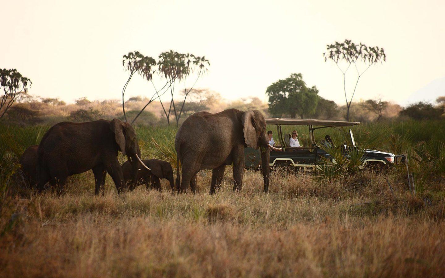 large elephant and small baby close to safari truck with mother, father and two young children