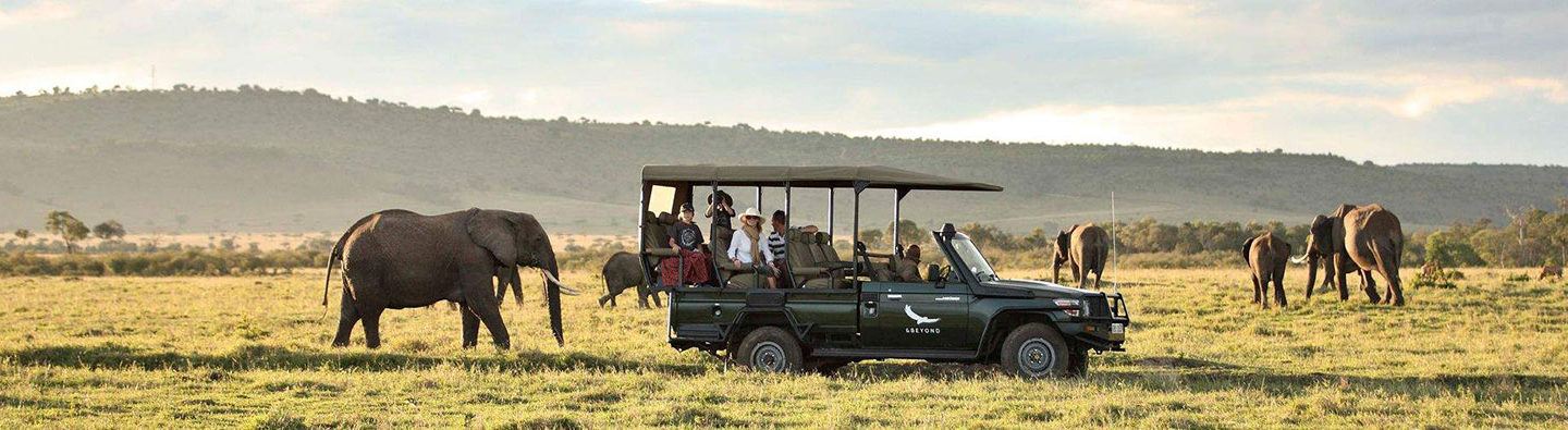 large elephant and small baby close to safari truck with mother, father and two young children