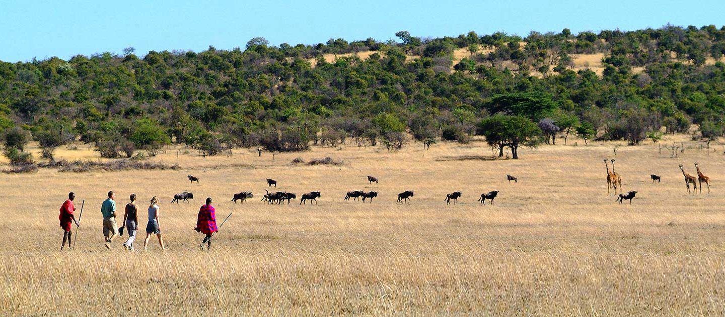 group of three individuals on safari walking in the Savannah