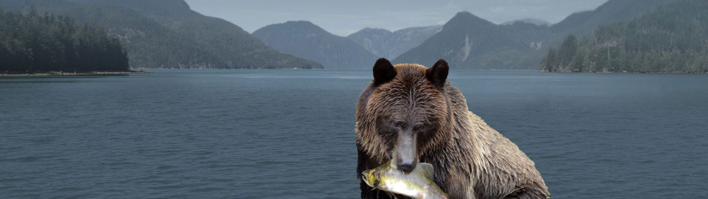 grizzly in foreground of panaromic river view with fish in its mouth