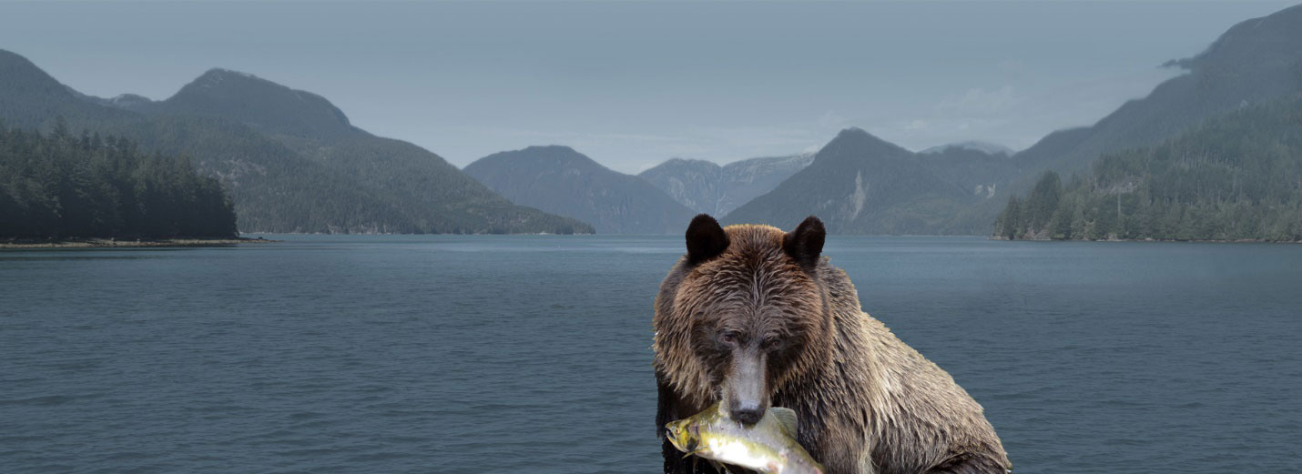 grizzly in foreground of panaromic river view with fish in its mouth