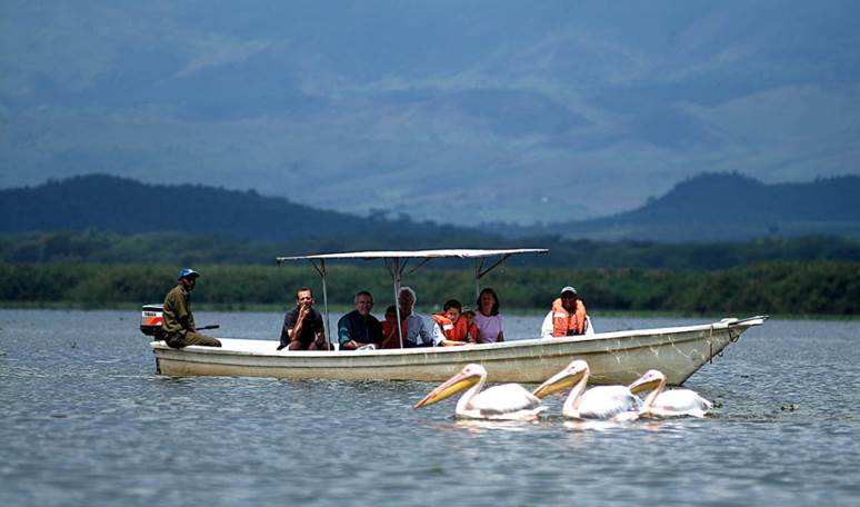 three pelicans swimming past a boat