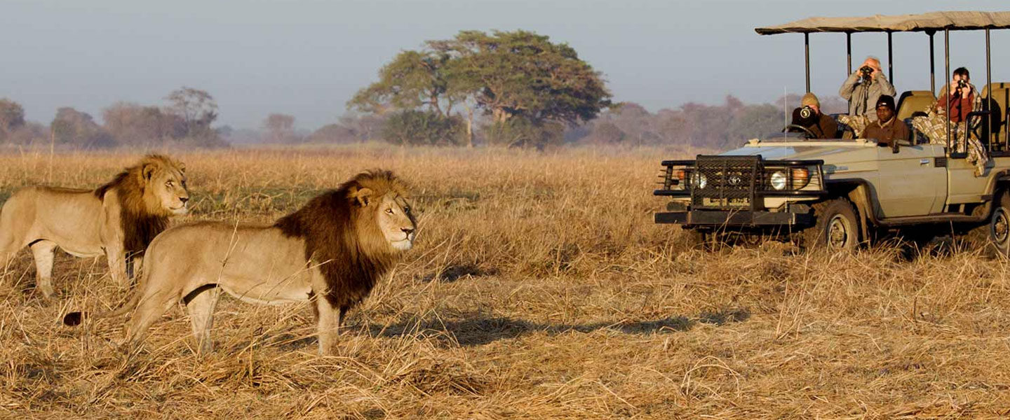 kenya-safari-cost-banner